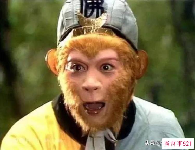 西游记未解之谜大多没人知晓，西游记难解之谜