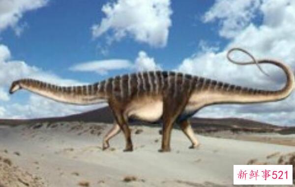 甲龙齿龙-阿根廷的一种大型食肉恐龙(8米长-7000万年前)