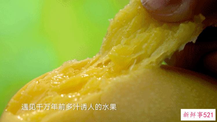 576982a1096a61299d96ae5de2ea51ae.jpg