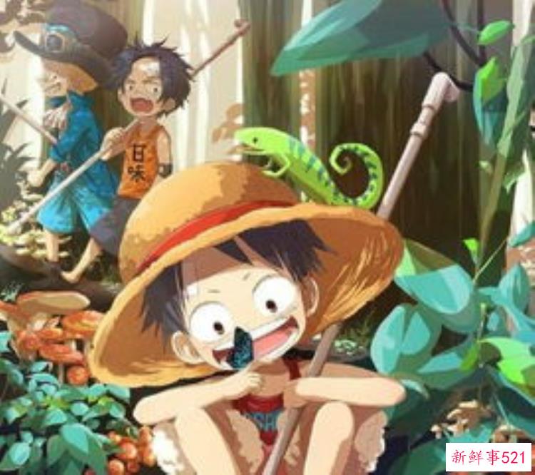 海贼王欧美风概念艺术同人二档相扑路飞恶魔脚山治蛇姬女帝