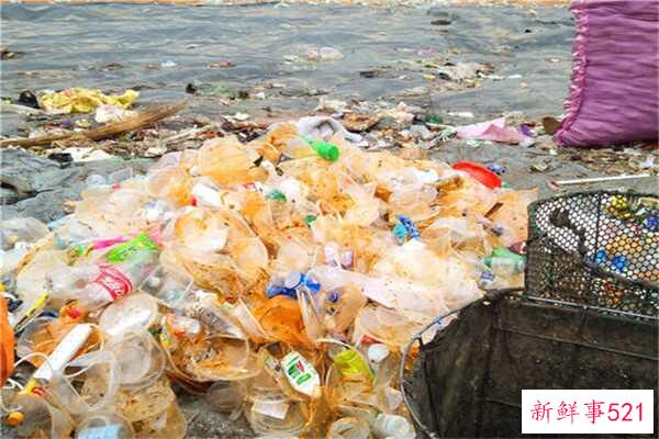 干垃圾和湿垃圾目前流行的垃圾分类方法是什么？