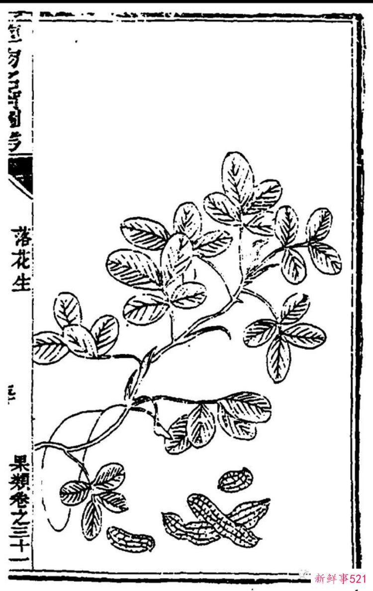 4051a93c704fed9b10d2f678e6d5f1bb.jpg