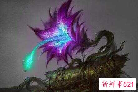 2d51362abd4a963448491fc04f7820c8.jpg
