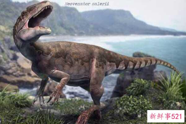 Nodulosaurus-北美的一种中型恐龙(有层状板甲-没有尾锤)
