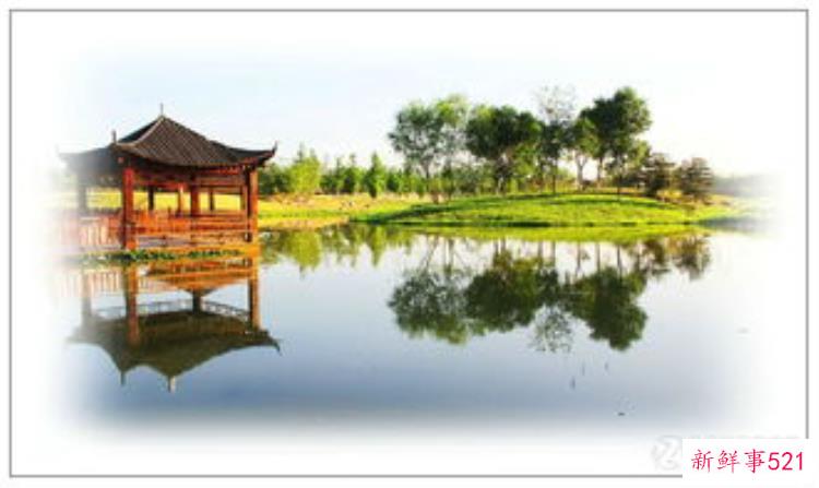 小清河考古发现，小清河新消息