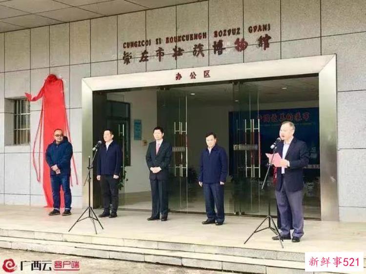 崇左成立第四纪哺乳动物化石与边境考古研究中心的时间，崇左考古发现