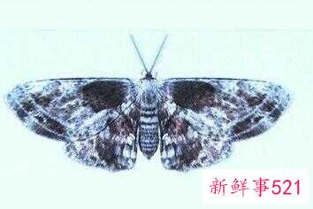 fcec37a3a78c3bcee38f8b8e8d7331da.jpg