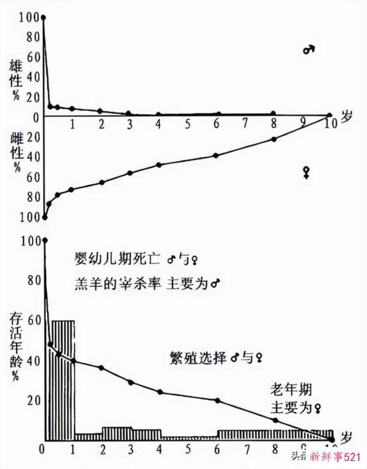 李志鹏 考古「李志鹏殷墟出土羊骨的动物考古学研究」