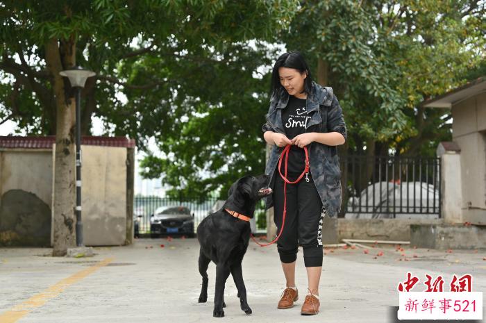 崔静宜与其训练犬“肉排”互动。　俞靖 摄
