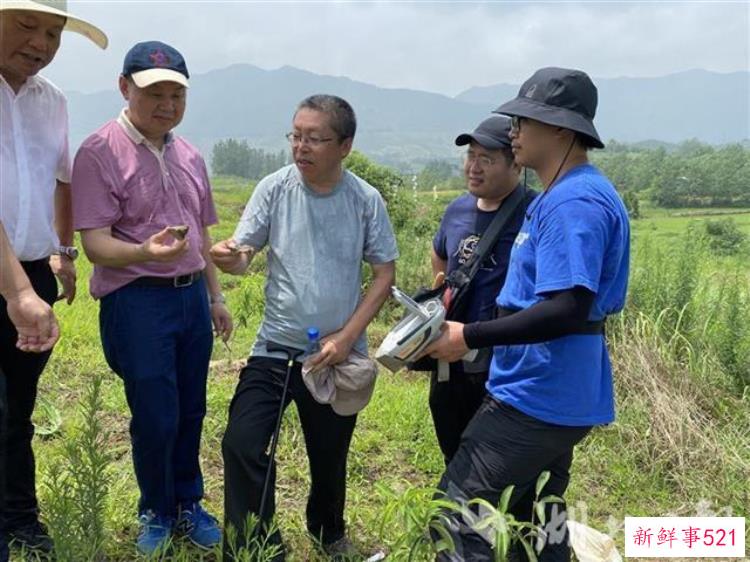 填补考古空白阳新发现13处商周时期冶铅遗址