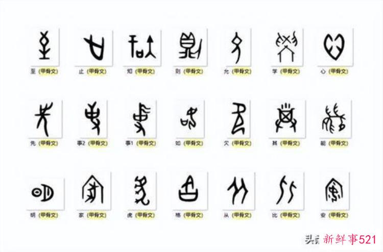 殷墟甲骨文的三次重要发现，殷墟甲骨文是哪年发现