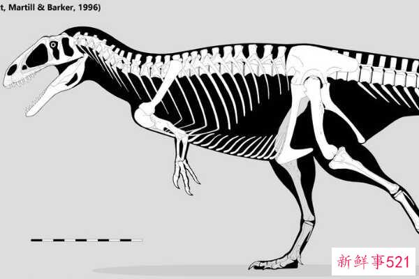Nodulosaurus-北美的一种中型恐龙(有层状板甲-没有尾锤)