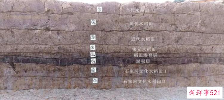 旧石器时代考古新发现国家文物局通报3项重要研究成果