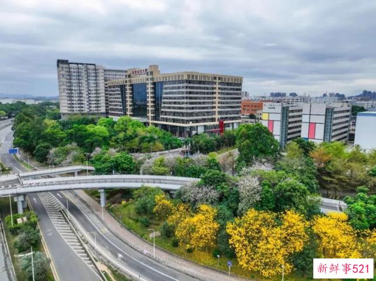 深圳龙华全力加速中心，深圳龙华新区