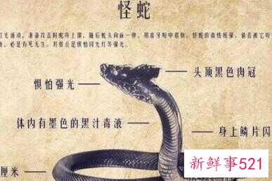 73e7a67b4ee585be8173e78d16a542f3.jpg
