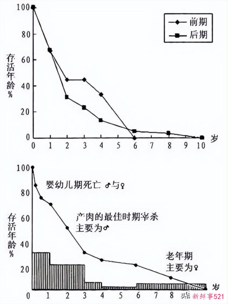 李志鹏 考古「李志鹏殷墟出土羊骨的动物考古学研究」