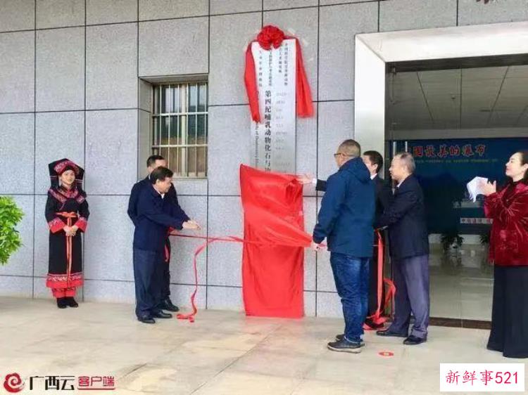 崇左成立第四纪哺乳动物化石与边境考古研究中心的时间，崇左考古发现