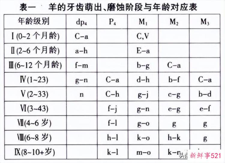 李志鹏 考古「李志鹏殷墟出土羊骨的动物考古学研究」