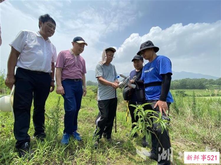 填补考古空白阳新发现13处商周时期冶铅遗址