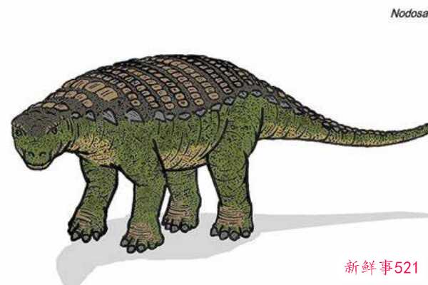 Nodulosaurus-北美的一种中型恐龙(有层状板甲-没有尾锤)