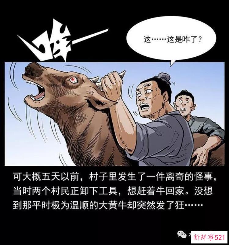 0ffd13740c5418558e0ef37b98db3d38.jpg