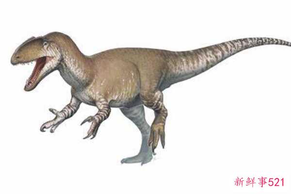 Nodulosaurus-北美的一种中型恐龙(有层状板甲-没有尾锤)