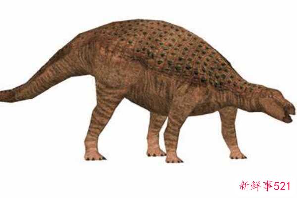 Nodulosaurus-北美的一种中型恐龙(有层状板甲-没有尾锤)