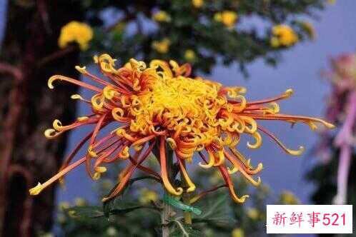 诗经经典语录句句精辟(诗经中的绝美词句三个字的)