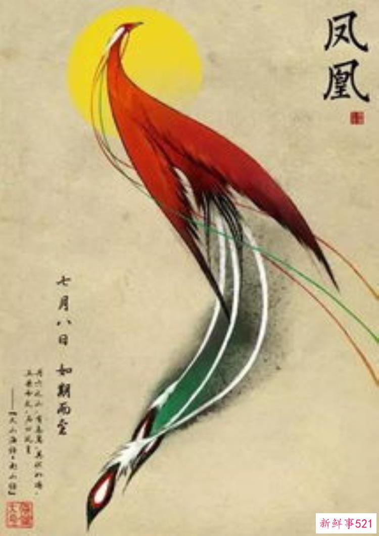大鱼海棠的由来，大鱼      海棠