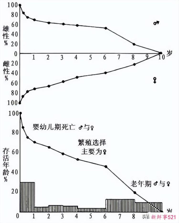 李志鹏 考古「李志鹏殷墟出土羊骨的动物考古学研究」