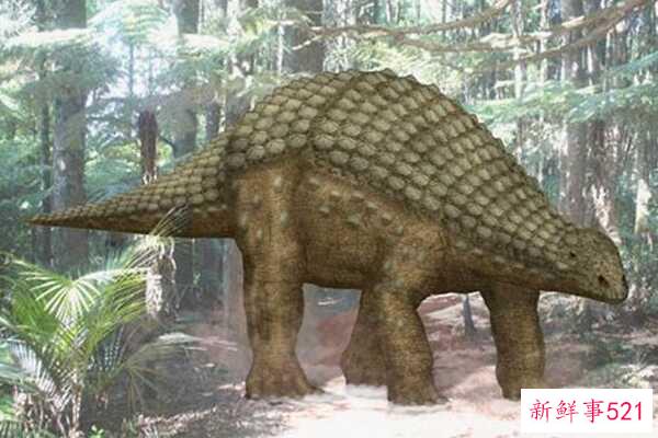Nodulosaurus-北美的一种中型恐龙(有层状板甲-没有尾锤)