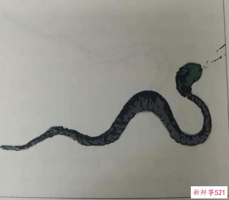传闻捕蛇人，灵异调查组最新消息