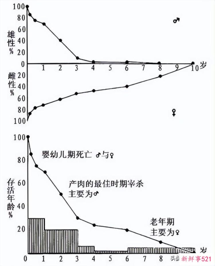 李志鹏 考古「李志鹏殷墟出土羊骨的动物考古学研究」