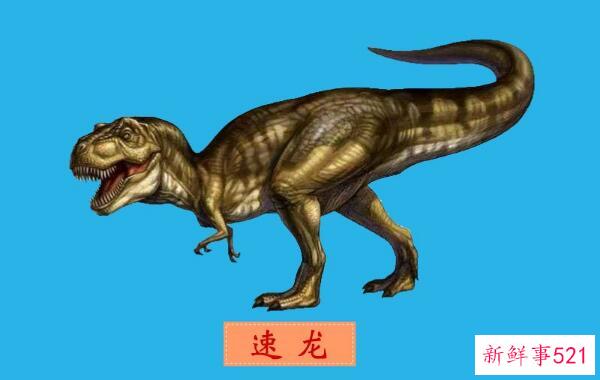 Uqueluolong-阿根廷的一种小型食肉恐龙(3米长-7000万年前)