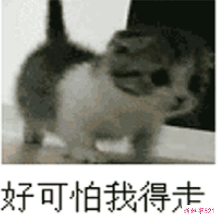 e54b9ea4fe6935584ff869fd1f8ac5bb.jpg