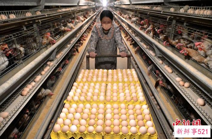 美国学者：中国创造奇迹 一些国家“害怕中国更成功”