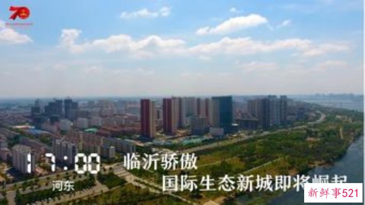 沂河历史文化，临沂河东考古