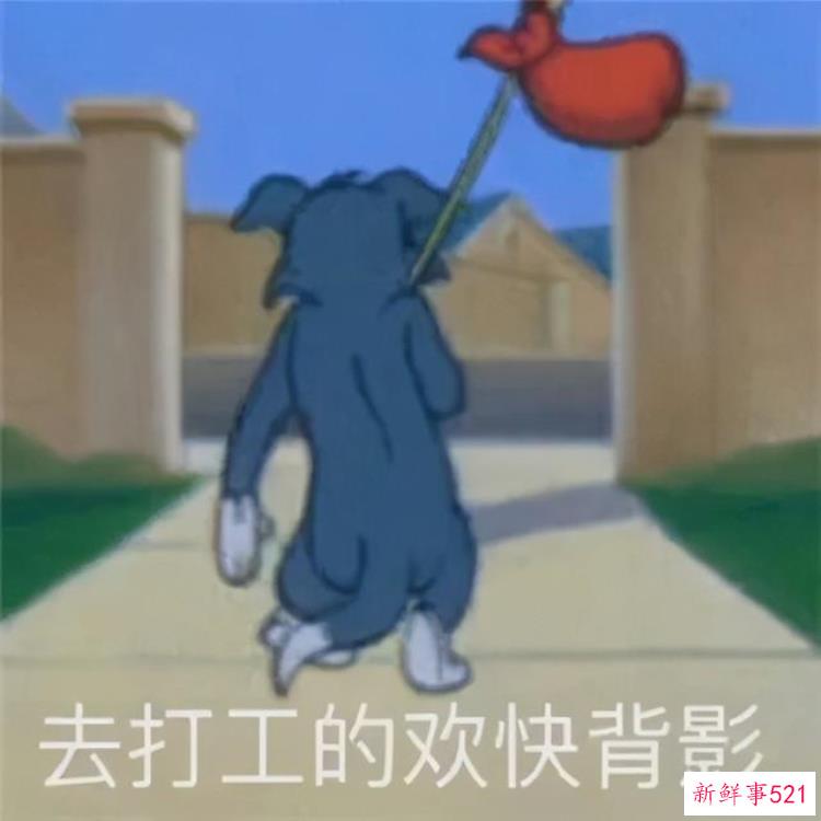 89db7c87b142b6eea6495c040b002a05.jpg