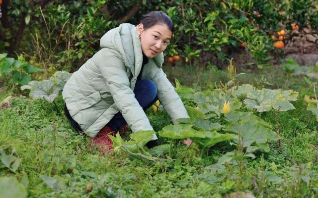 案例：合肥一老板爱上女海王，被女方套路多年，依然对她不离不弃