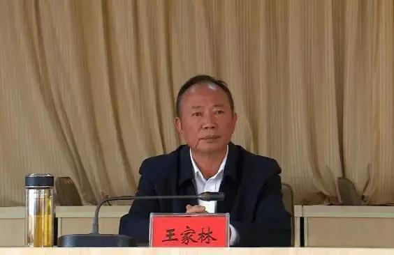 云南80后美女局长落马 靠出卖身体上位，和多名男上级有不正当关系