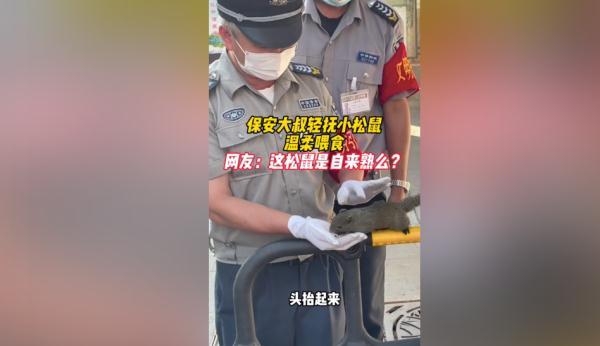 神奇动物在云南 骑鸵鸟的小女孩找到啦~