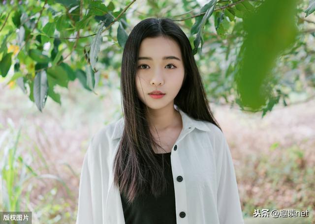 你读过最早的网络小说是什么？可还记得《极品公子》这些小说吗？