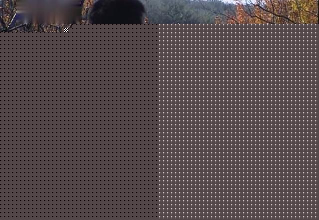 《篱笆·女人和狗》：任何人娶了狗剩媳妇，都会过得很好