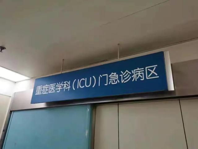 男子被黑熊攻击面部缺失！野外遇到黑熊该怎么办？装死根本没用