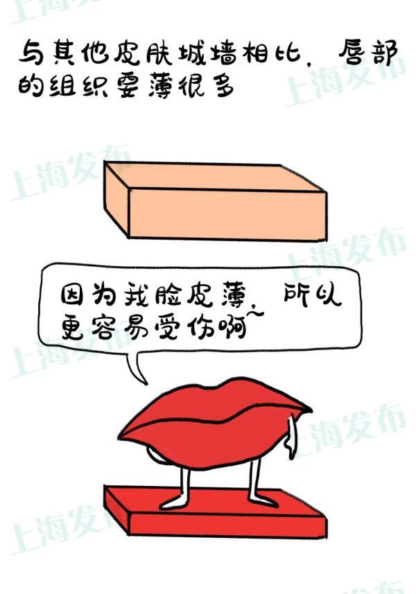 嘴唇工作量大很“辛苦”，应该怎么保护它