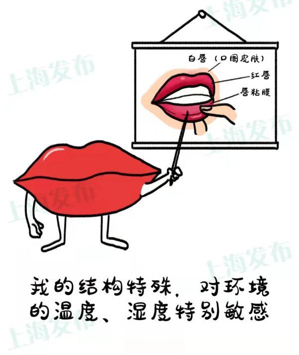 嘴唇工作量大很“辛苦”，应该怎么保护它