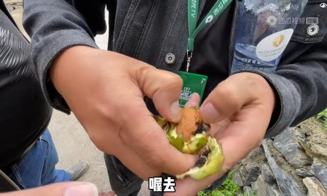 一首伤感歌曲《下辈子不做女人》靓声深情演唱