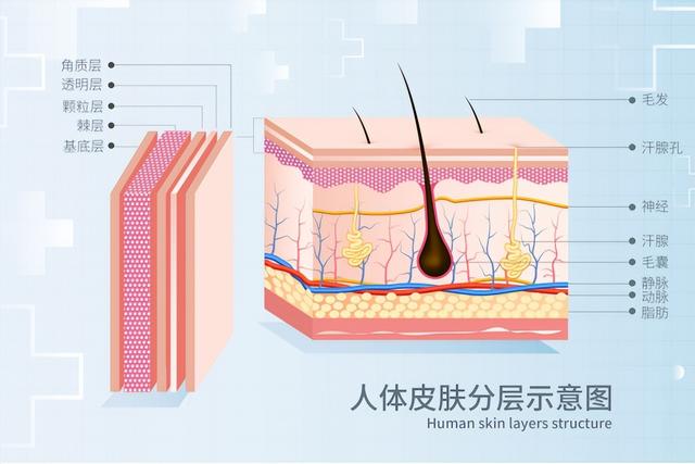 女生隐私处颜色，与性生活频率有关？0经验姑娘颜色深怎么解释？