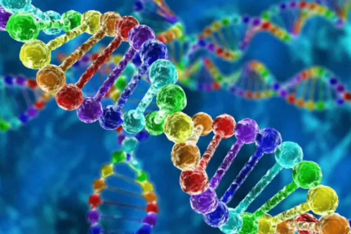 科学家们终于解开了Y染色体的谜团