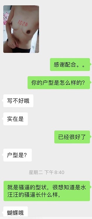 骚母狗访谈--乐当性奴的母狗护士